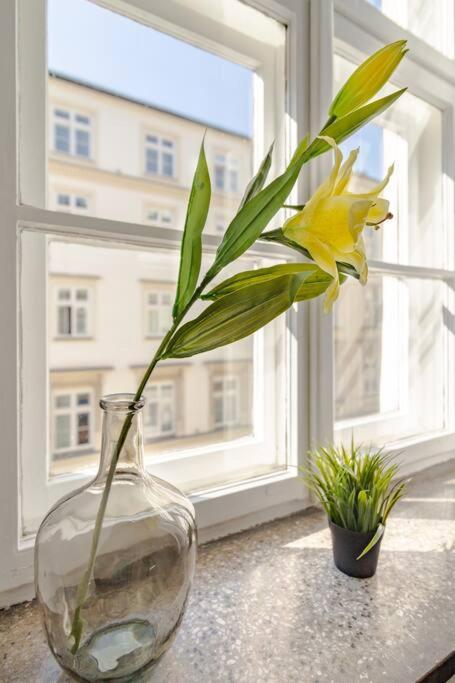 Royal Route Apartment Fully Equipped Krasków Εξωτερικό φωτογραφία